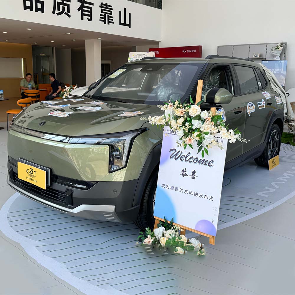 Nano 06 Pure Electric Box Nano 06 Pure Electric Box