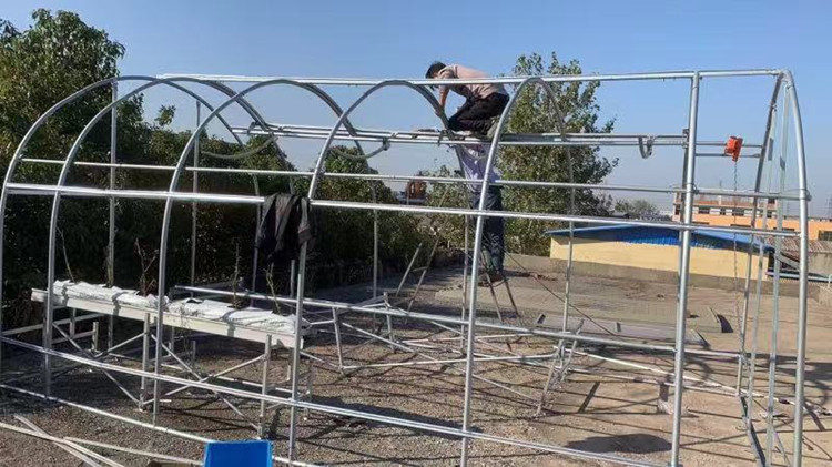 greenhouse 6 greenhouse 6