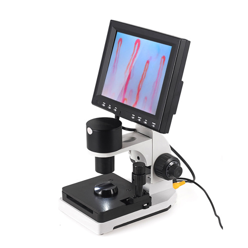 8 Inch Nailfold Micirculation Microscope Detector for Sale, 8 Inch Nailfold Micirculation Microscope Detector wholesale From China