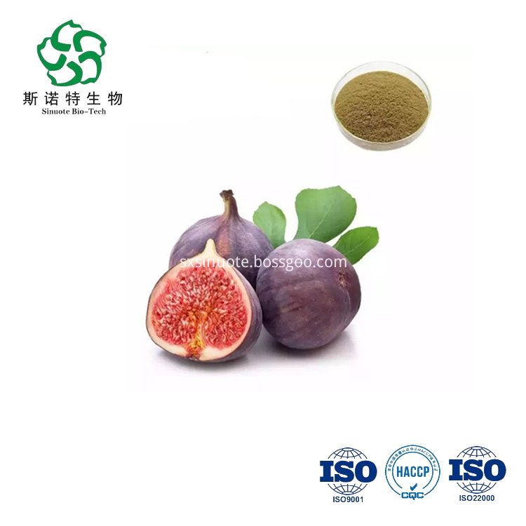 Gmp Kosher Natural Fig Powder Ficus Carica Powder Gmp Kosher Natural Fig Powder Ficus Carica Powder