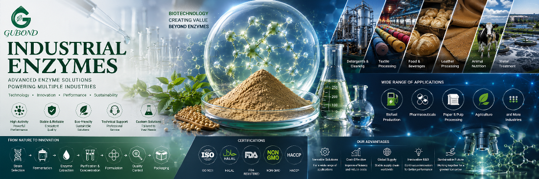 Industrial enzymes Industrial enzymes