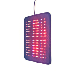 Bio Lights Color Lights LED light therapy machine