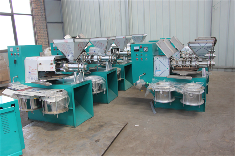 Sunflower Oil Machine