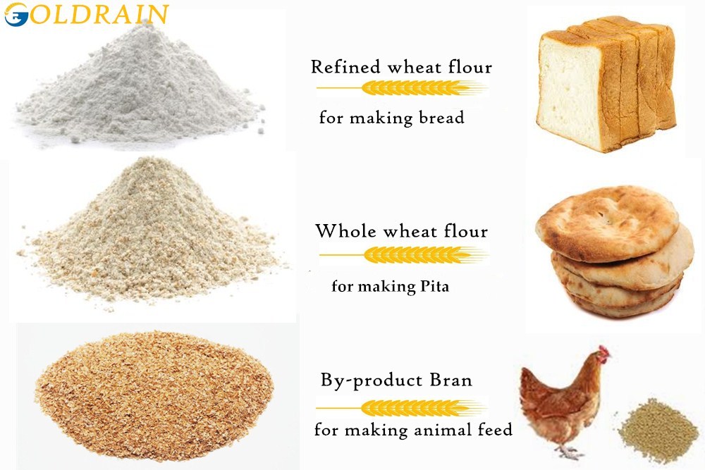 CHINE-BLÉ-FARINE-USINE CHINA-WHEAT-FLOUR-FACTORY
