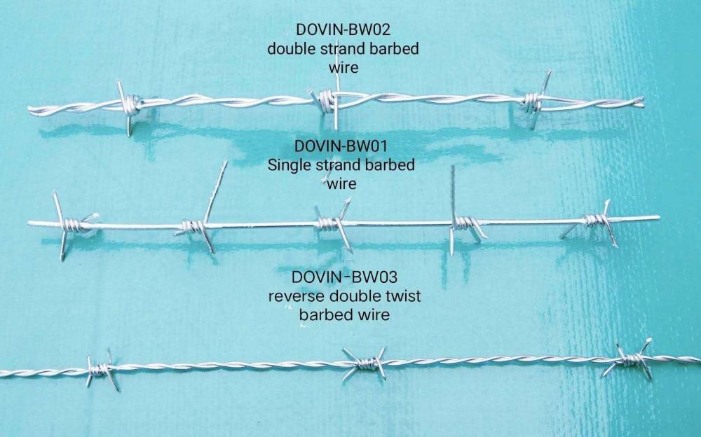Barbed Wire Sample Barbed Wire Sample