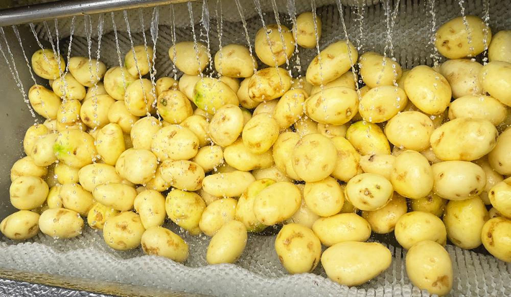 industrial potato peeler machine industrial potato peeler machine
