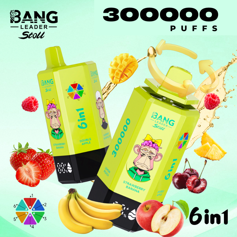 Bang Leader 300k Puffs 6 in 1 Disposable Vape wholesale Bang Leader 300k Puffs 6 in 1 Disposable Vape wholesale