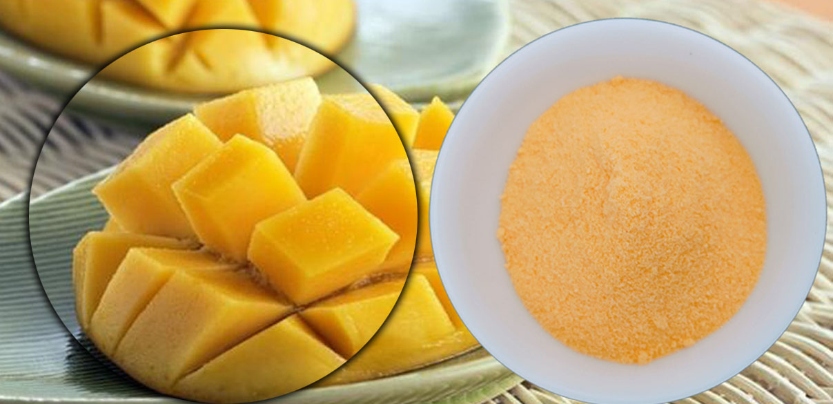 mango powder -12 mango powder -12