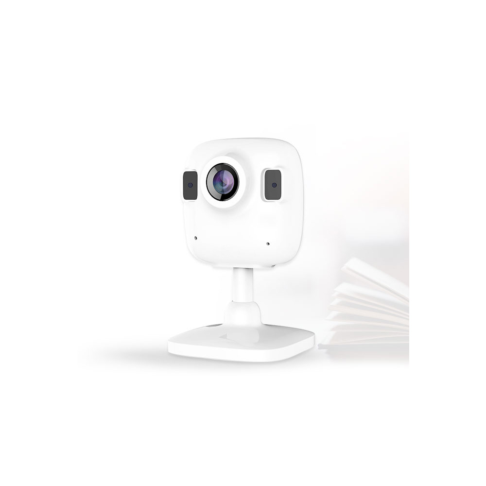 1.3MP Wireless Camera