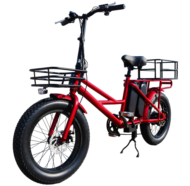 electric bicycle with package electric bicycle with package