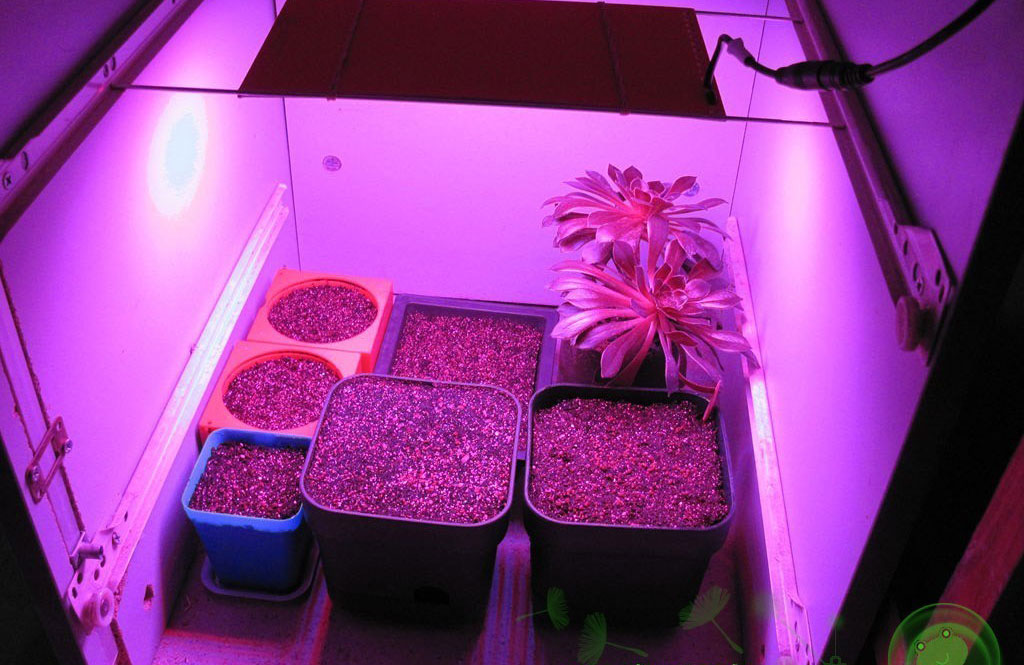 LED grow strip light
