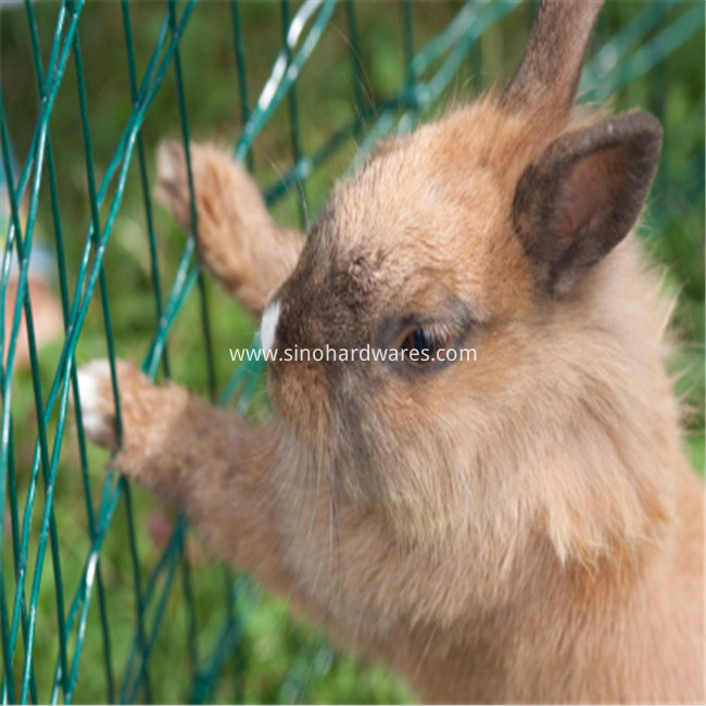 rabbit fence