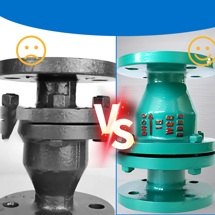 Fluorine lined check valve Fluorine lined check valve