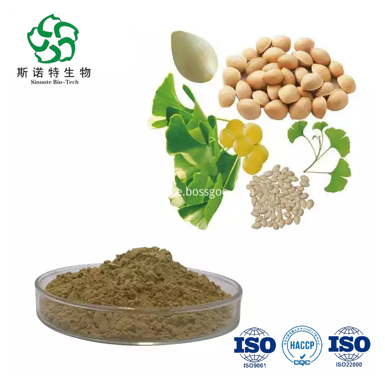 Ginkgo Biloba Leaf Extract Ginkgo Biloba Leaf Extract