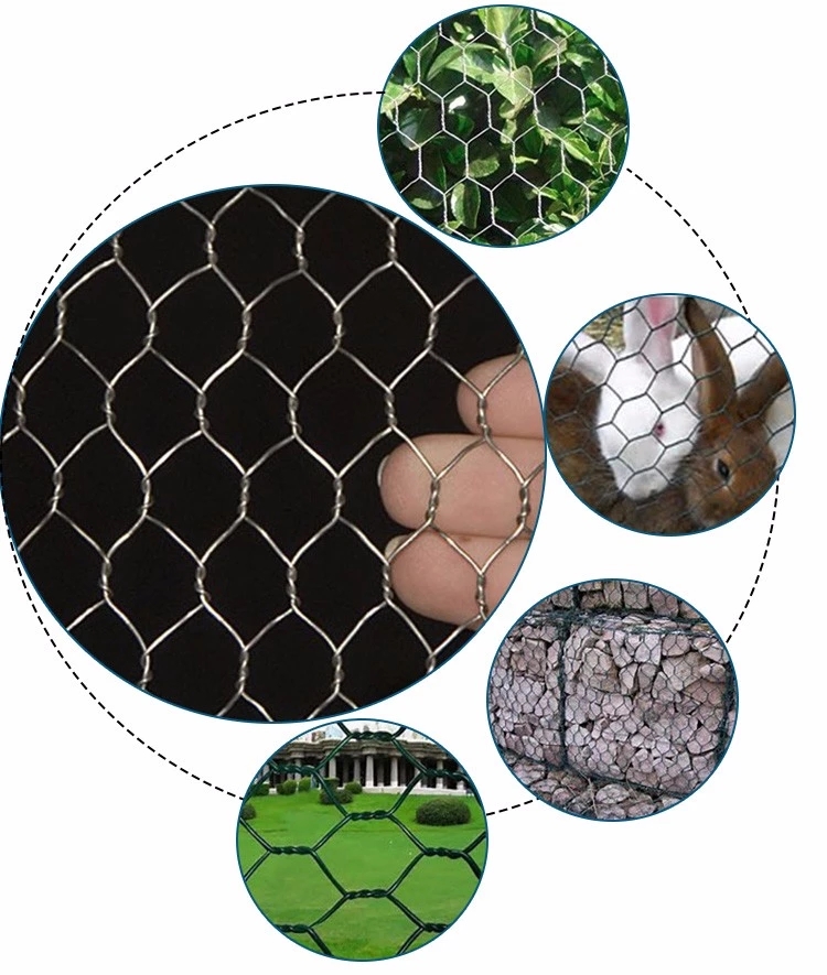 hexagonal wire netting hexagonal wire netting