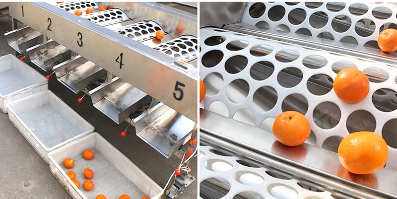 commercial fruit sorter commercial fruit sorter