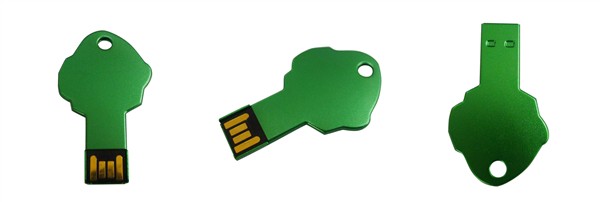 tree shape key usb memory disk