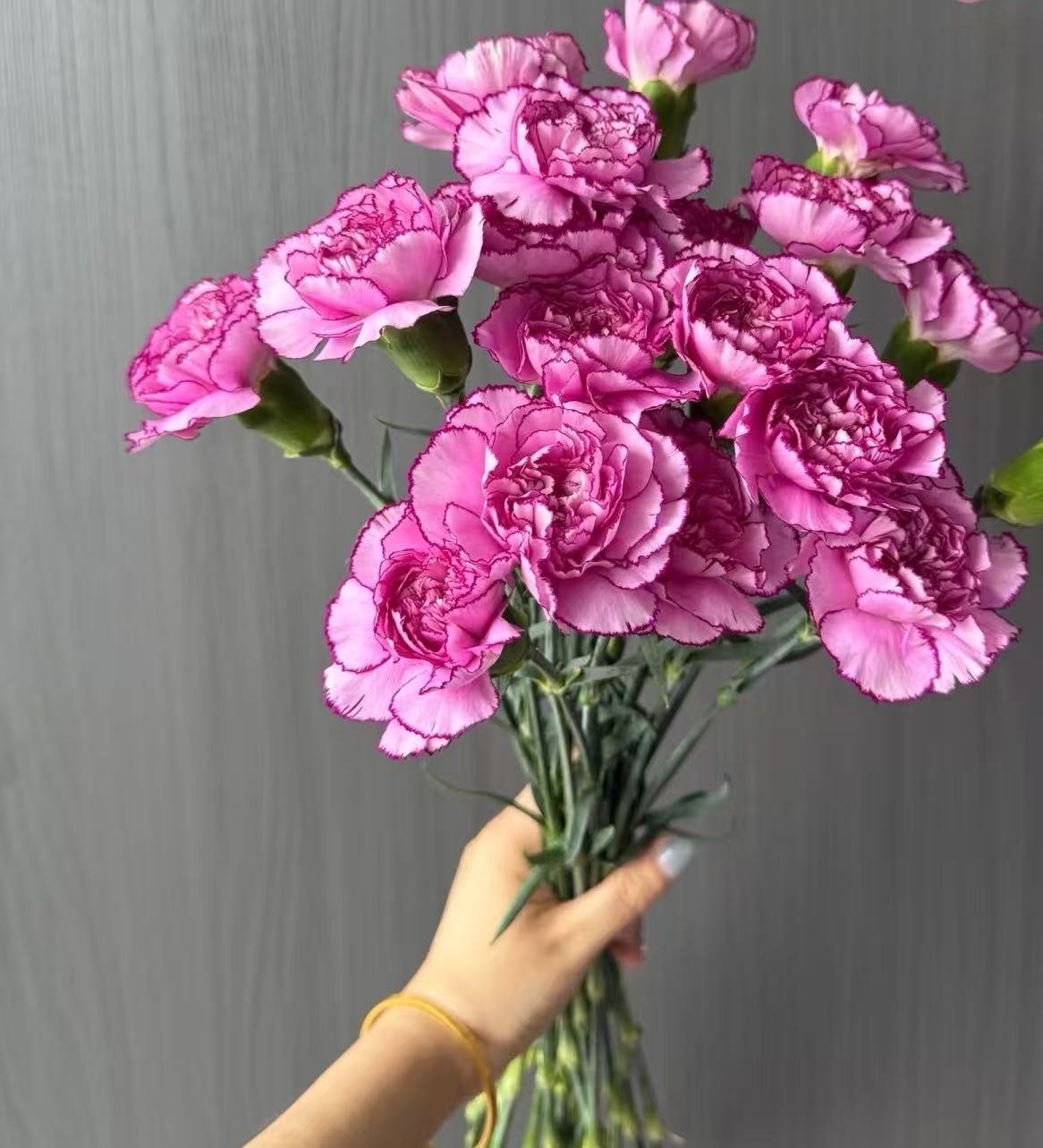 Single-headed carnation Purple Zixia Single-headed carnation Purple Zixia