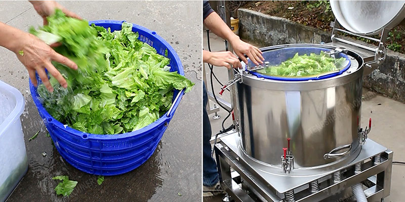 Centrifugal vegetable dehydrator Centrifugal vegetable dehydrator