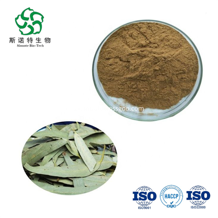 Eucalyptus Leaves Extract Eucalyptus Leaves Extract