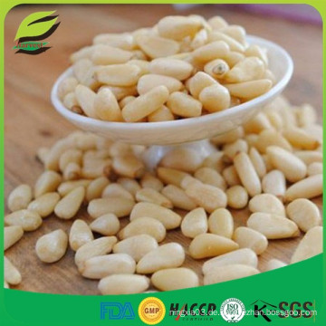 China Chinesische Pinenut Weisse Pine Nuts Kerne Red Pine Nuss Hersteller