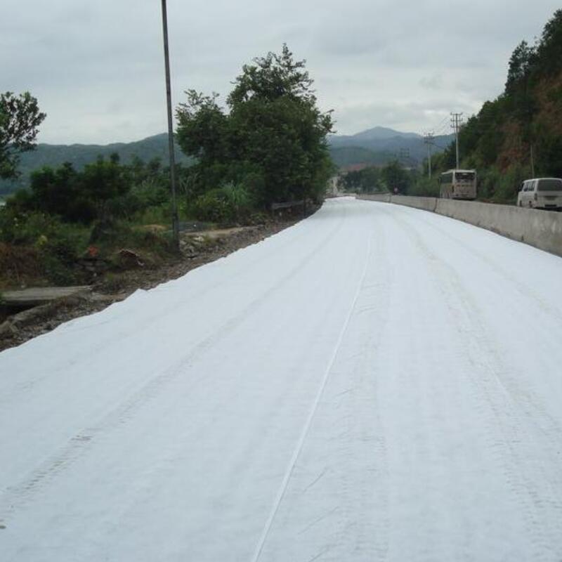 geotextile for road