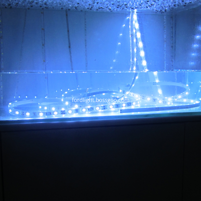 IP68 Waterproof LED Strip Light SMD5050
