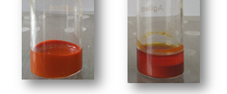 lUTEIN OIL lUTEIN OIL