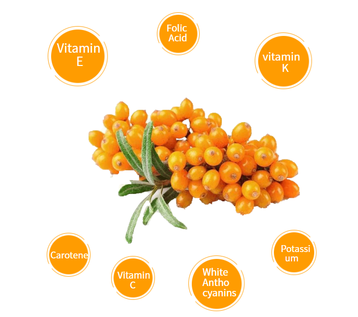 2.Seabuckthorn Juice Powder 2.Seabuckthorn Juice Powder