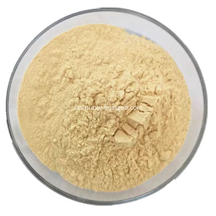 Natural Loquat Juice Powder Natural Loquat Juice Powder