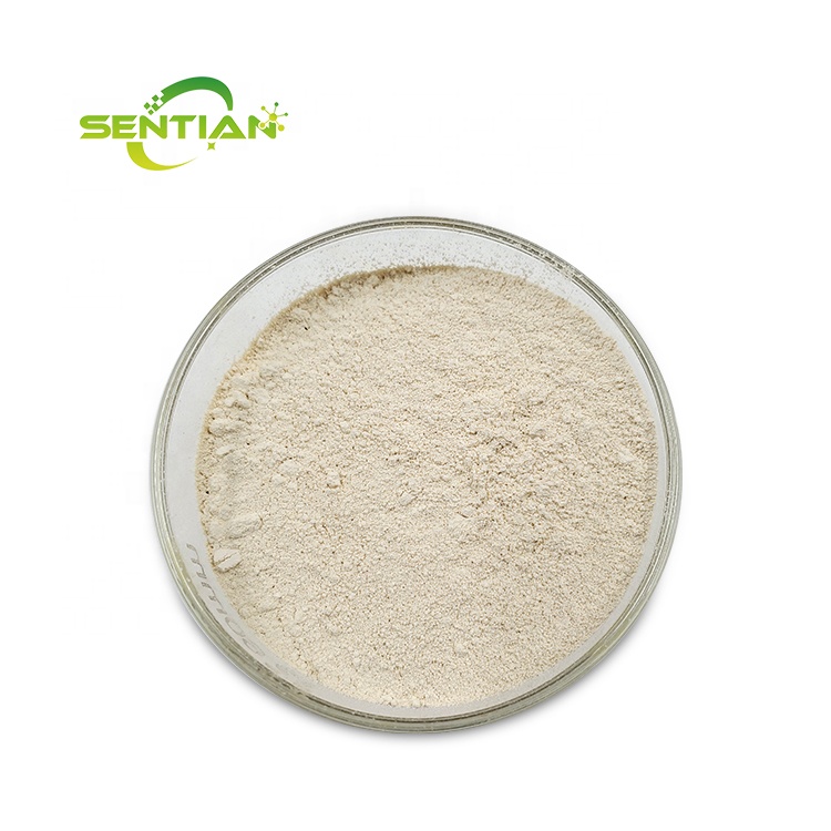 Acid Protease Acid Protease