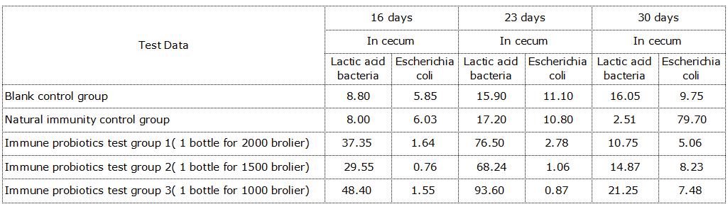 Escherichia coli