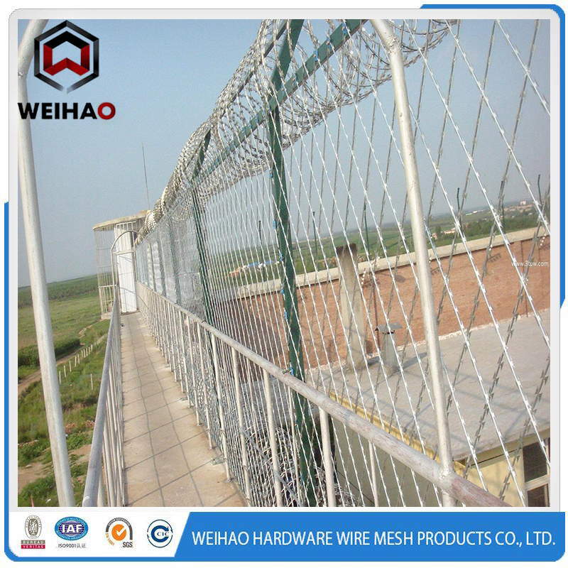 barbed wire i barbed wire i
