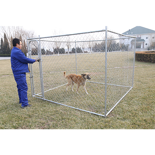 Galvanized Outdoor Chain Link Dog Kennel Galvanized Outdoor Chain Link Dog Kennel