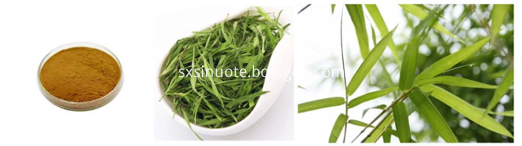 Bamboo Leaf Extract Powder Bamboo Leaf Extract Powder