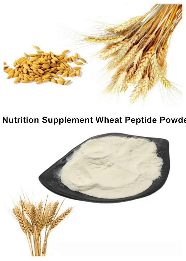 Nutrition Supplement Wheat Peptide Powder Nutrition Supplement Wheat Peptide Powder