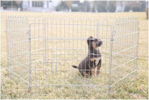 Pet Playpen