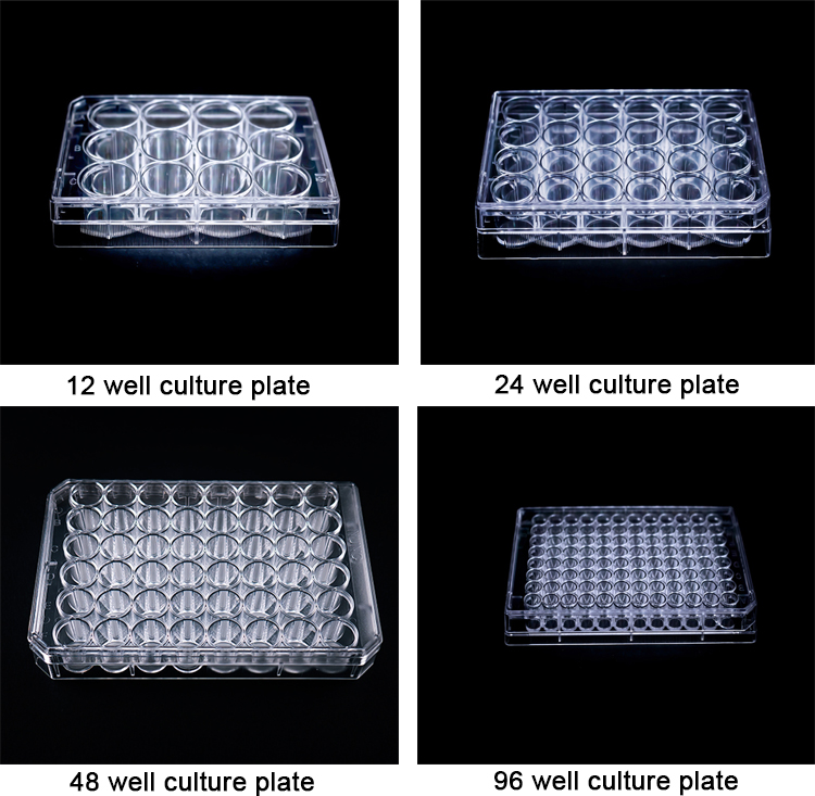 culture plate