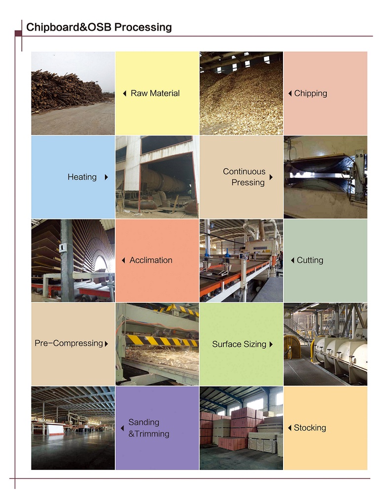 particle board processing line 