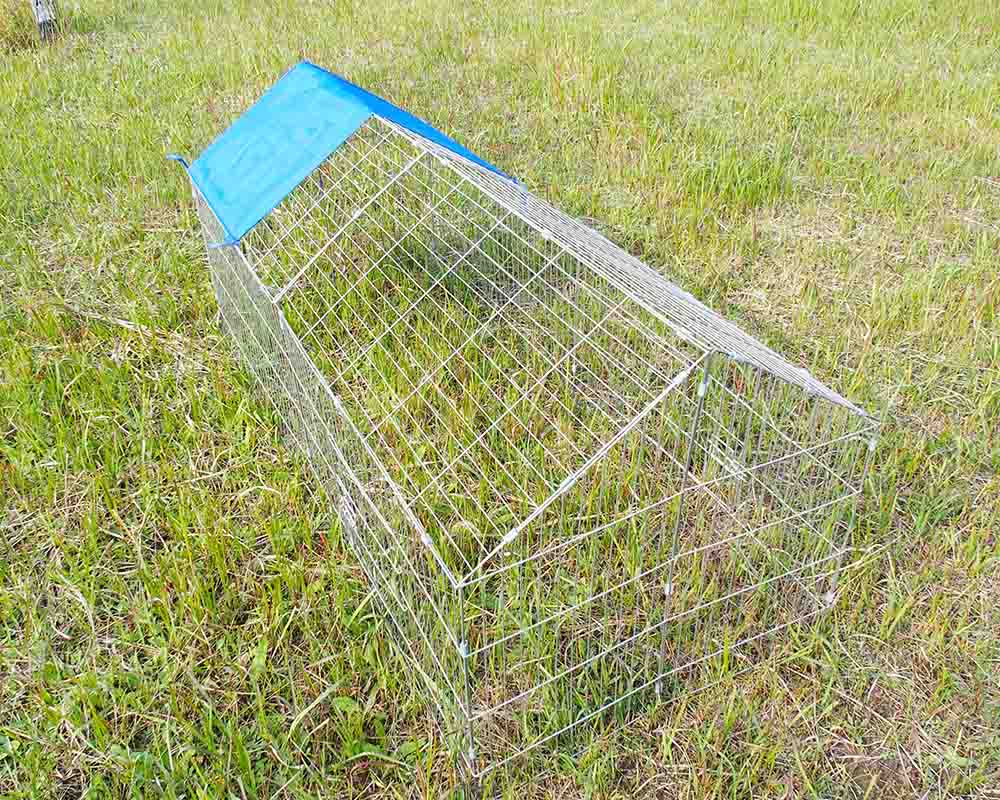 Poulailler Chicken coop