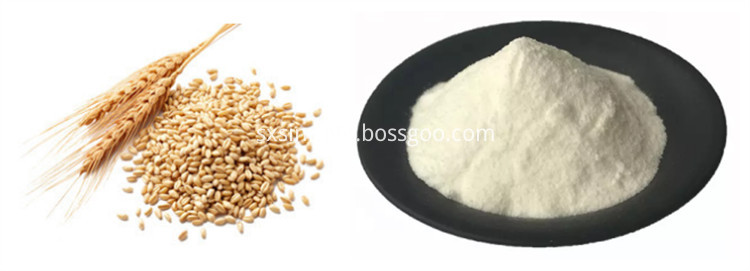 Wheat Peptide Powder Wheat Peptide Powder