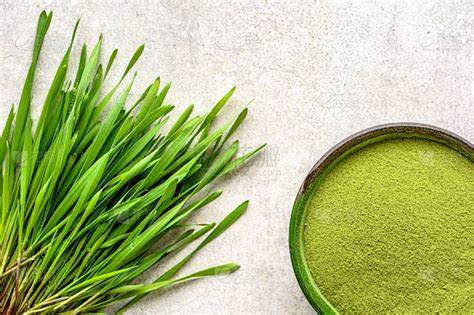Barley Grass Powder (1) Barley Grass Powder (1)