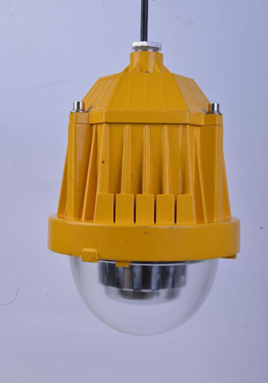 Explosion-proof light 9