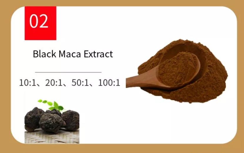 Male Health Herbal Black Maca Root Extract Male Health Herbal Black Maca Root Extract