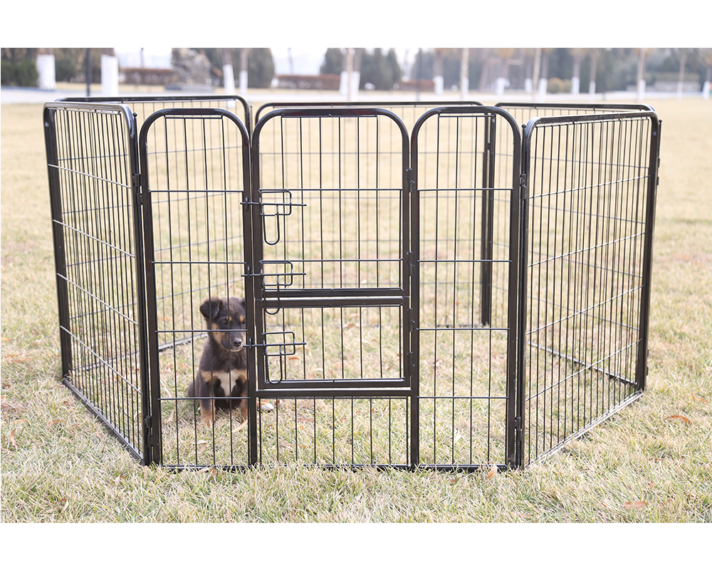 Box per cani di alta qualità High Quality Dog Playpen