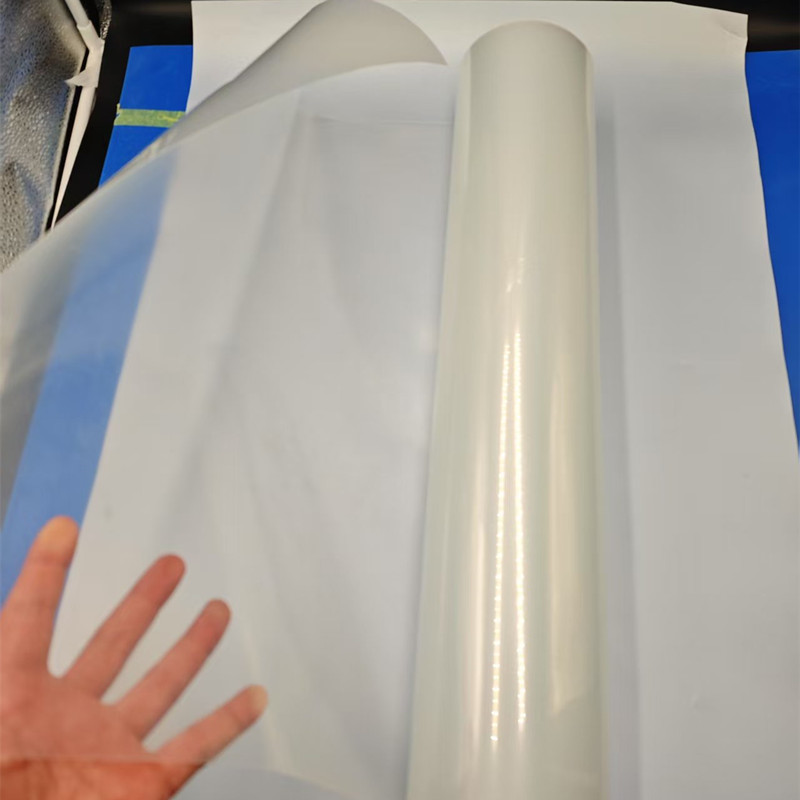 PP 031305 PP 031305