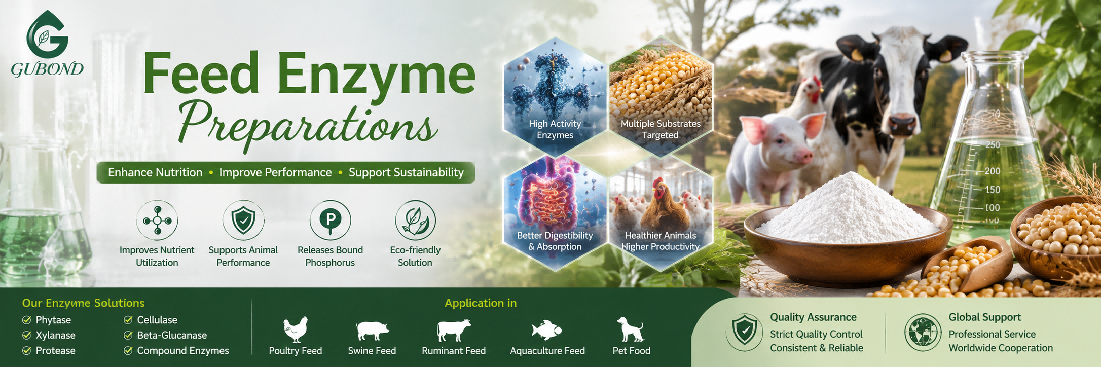 Feed enzyme preparations Feed enzyme preparations