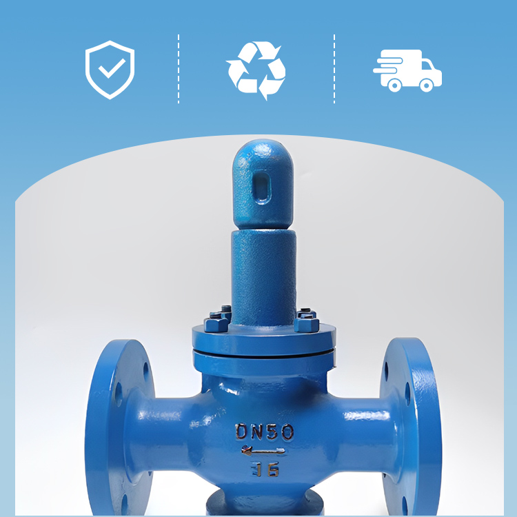 Steam Pressure Reducing Valve Steam Pressure Reducing Valve