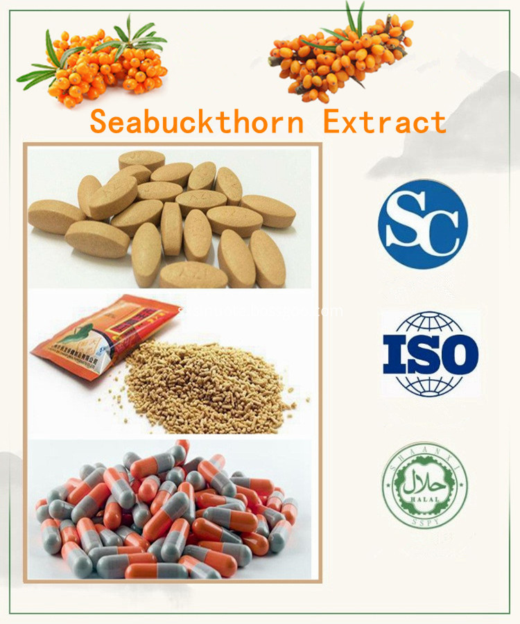 Applicaiton Seabuckthorn Extract Applicaiton Seabuckthorn Extract