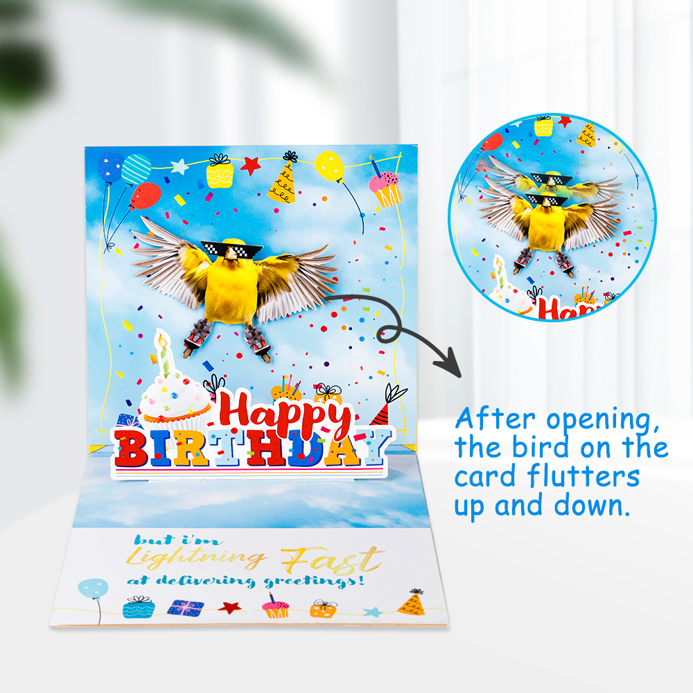 Funny 3D Birthday Pop-Up Card with Moving Bird Funny 3D Birthday Pop-Up Card with Moving Bird